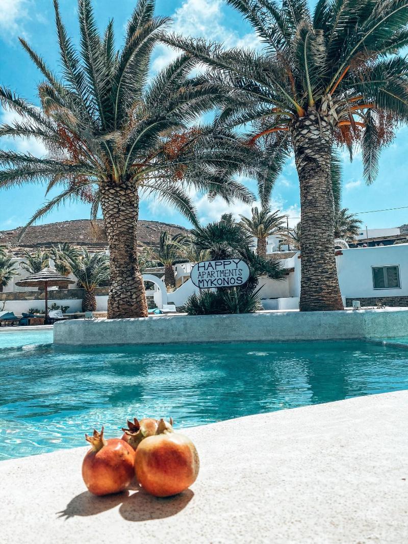 Happy Apartments Mykonos Mykonos Town エクステリア 写真